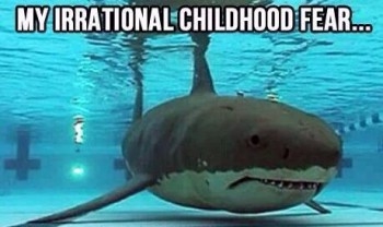 Shark in the Pool