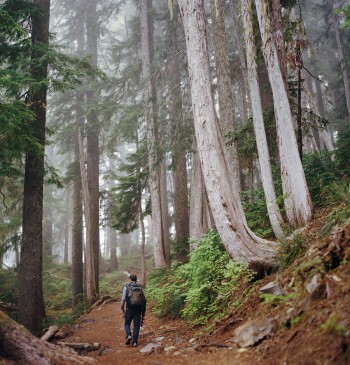 Hiking