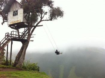Tree House