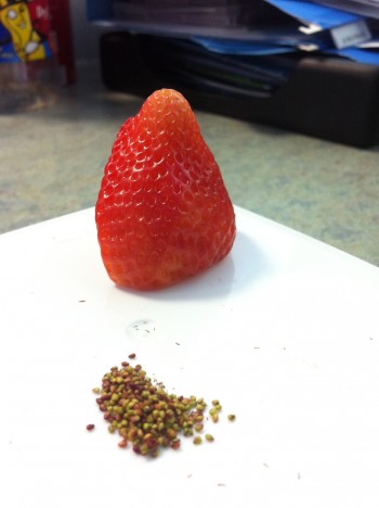 Seedless Strawberry