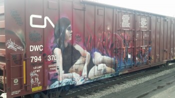 Spotted in Chicago