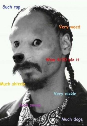 Snoop doge