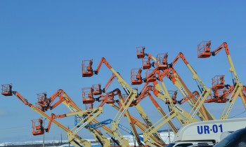 Flock of cranes
