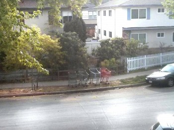 I think the homeless people are ganging up in my neighborhood
