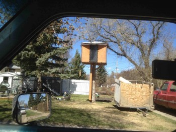 "Tree House"