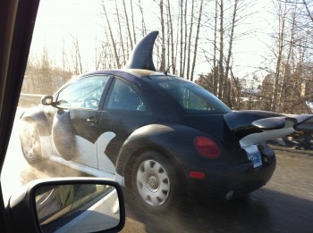 Orca-Car?