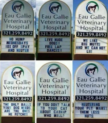 Veterinary Hospital