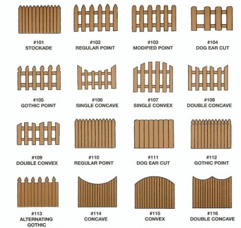 Post Types
