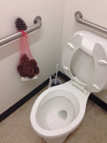No toilet paper?