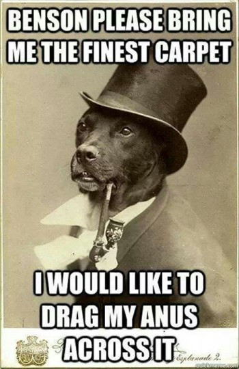 At once, Sir Godfrey!