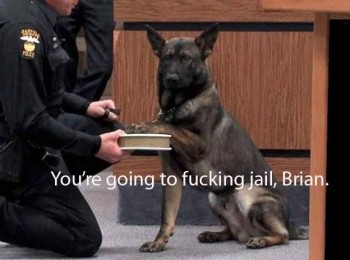 The criminal justice system is nothing to laugh about