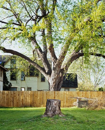 Disconnected Tree