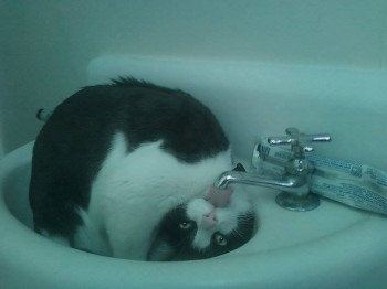 Call an exorcist!