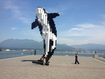 Pixelated Killer Whale