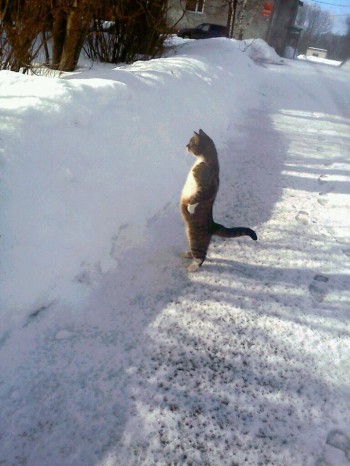 That's a whole lotta snow