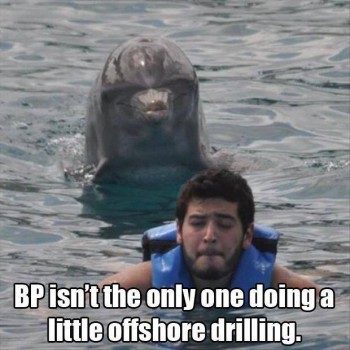 BP Drilling