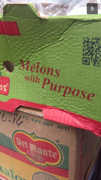 Melons with purpose