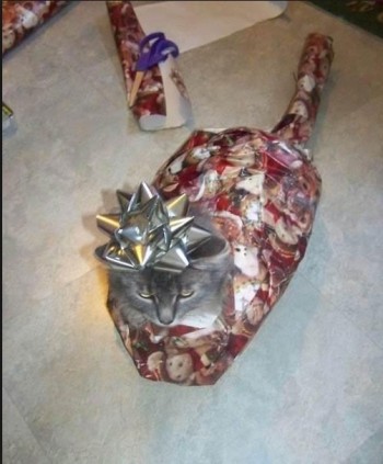 I wonder what it could be...
