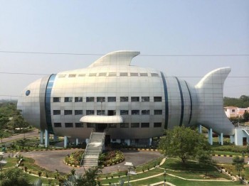 Department of Fisheries