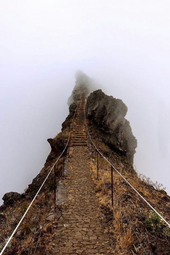 Into the clouds