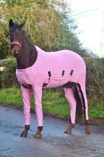 Horse wearing pajamas