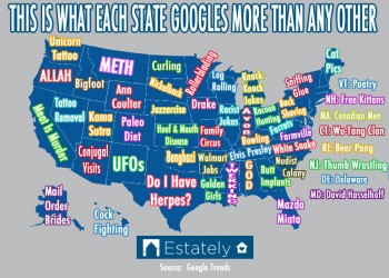What each state Googles most