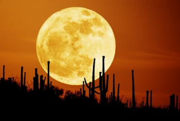Huge Moon