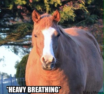 Heavy Breathing Horse