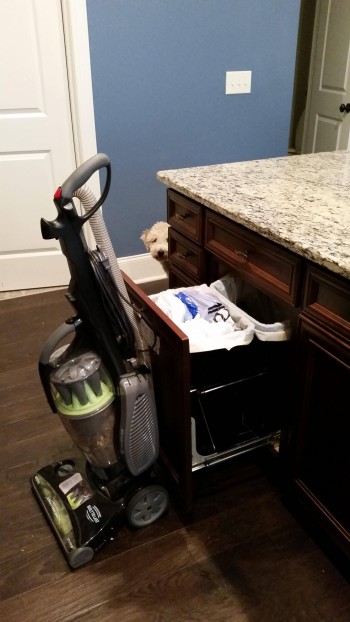 Found a way to keep the dogs out of the trash bin