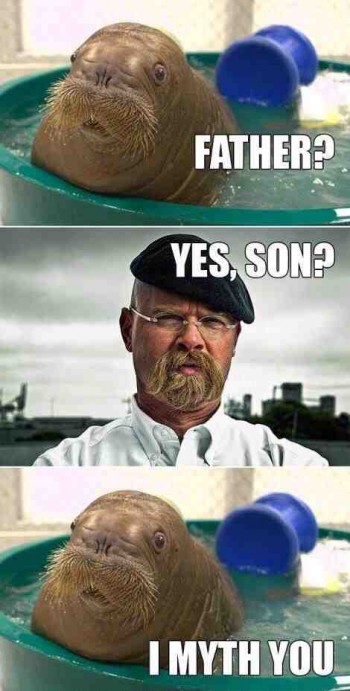 Father and son reunited
