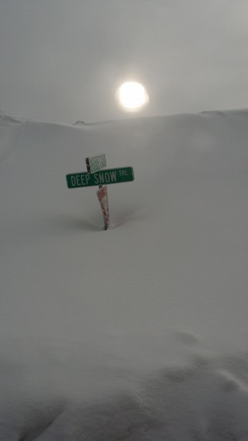 Deep Snow Trail