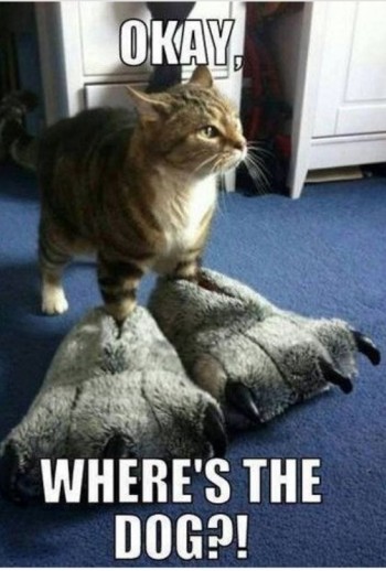 Bring it