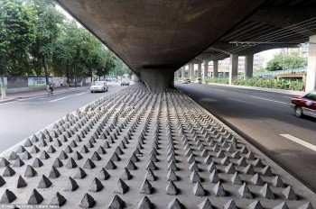 Homeless-proof Chinese bridge