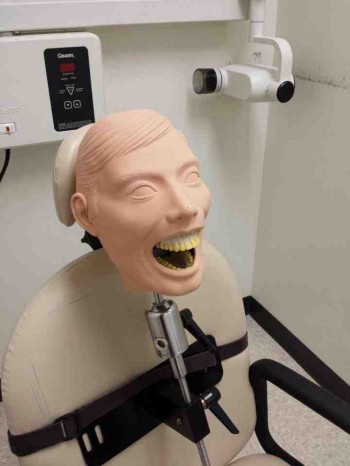 How dentists learn how to dentist