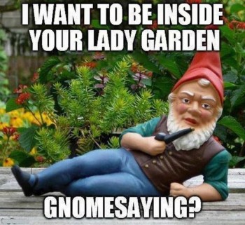 Gnome Garden