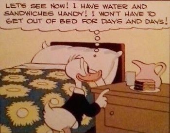 Donald has it all figured out