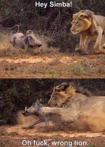 The Lion King