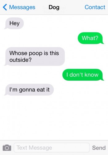 From Dog
