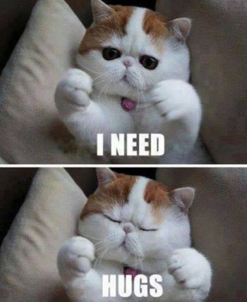 I need hugs