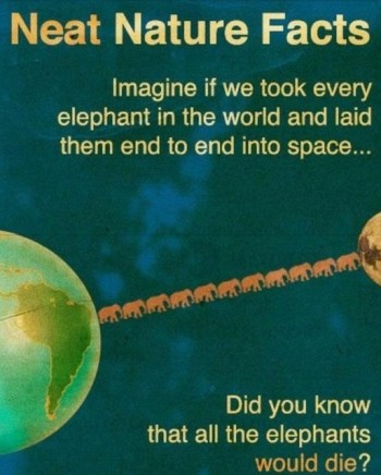 Neat Nature Facts