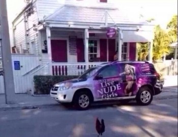 So that's why the chicken crossed the road