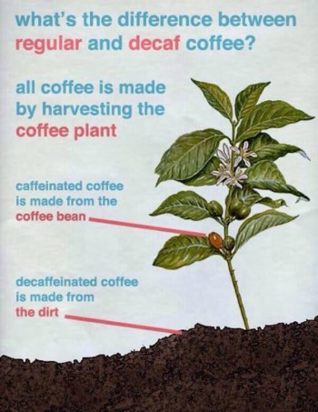 Regular coffee vs. decaf coffee