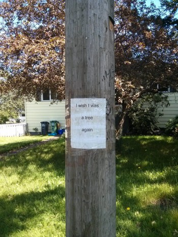 Poor Tree
