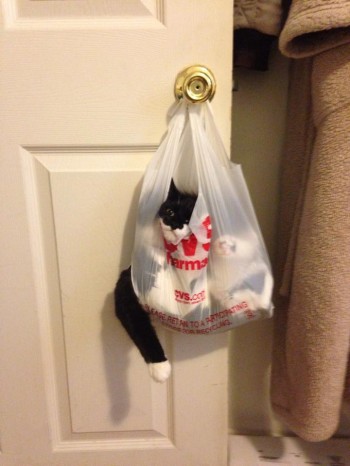 A lil' help?