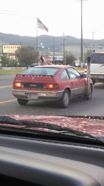 Because Montana