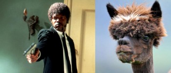"I said, does he look like a bitch?"
