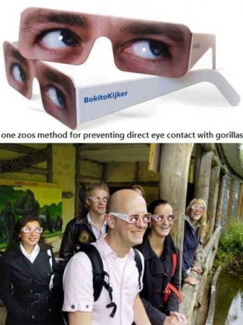 Eye contact