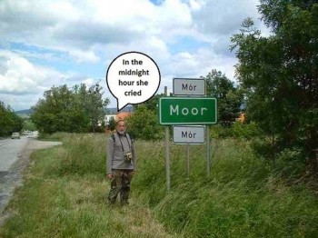 Moor