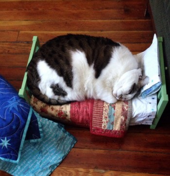 Kitty Bed