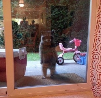 Dude, it's me Jim, let me in